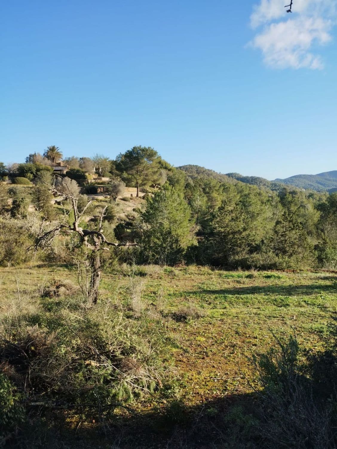 Terreno rural en venta en Sant Josep