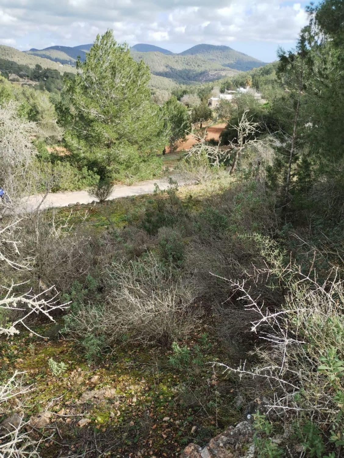 Terreno rural en venta en Sant Josep