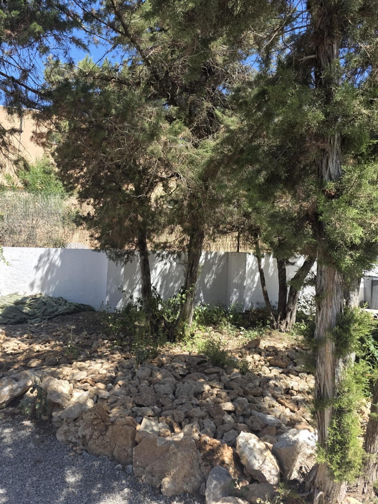 Suelo Urbano en ses paisses con Licencia y Proyecto para 6 Viviendas de Lujo y Parking Subterráneo