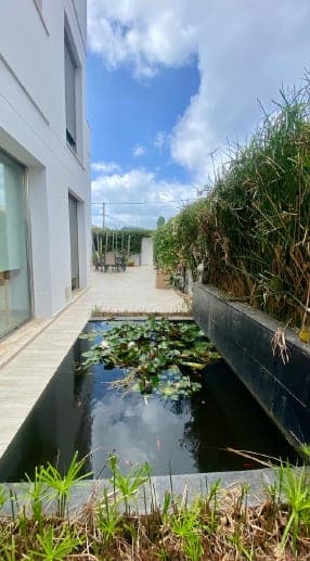 CASA ESTANQUE EN MARINA BOTAFOCH