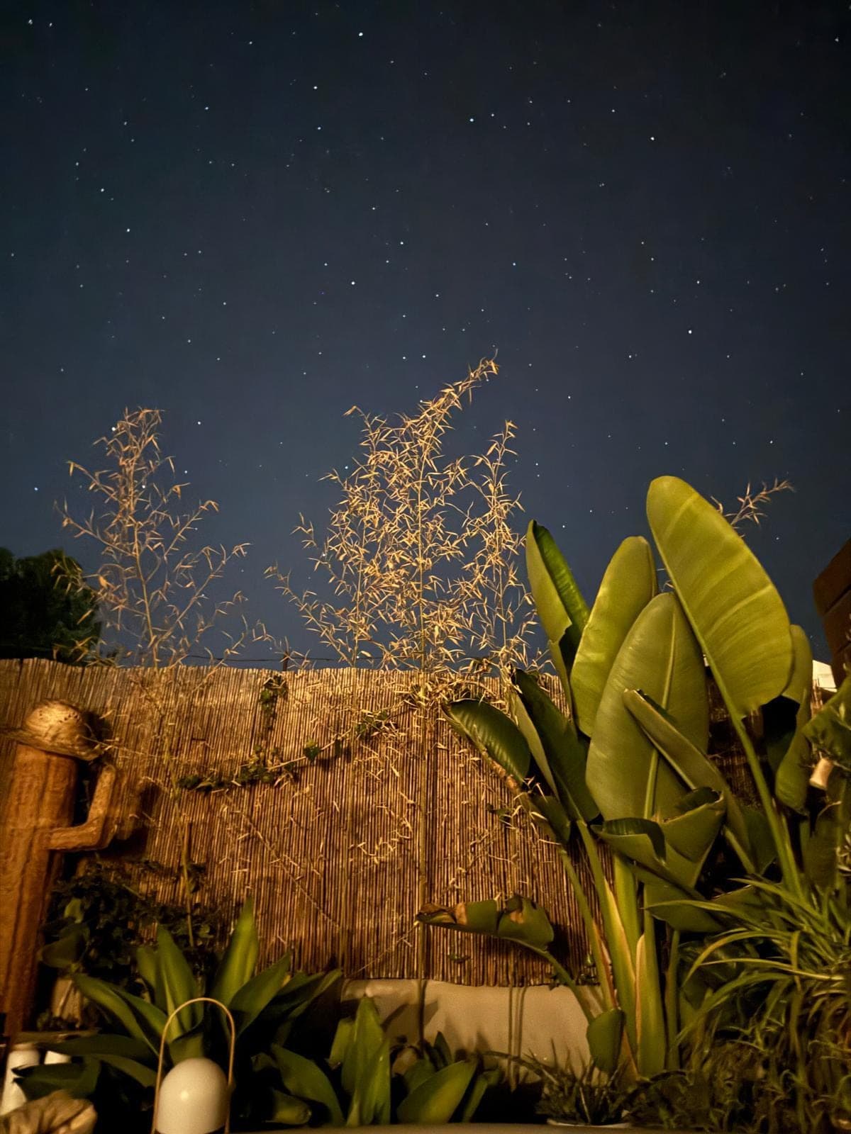 CASA INDEPENDIENTE EN SAN ANTONIO
